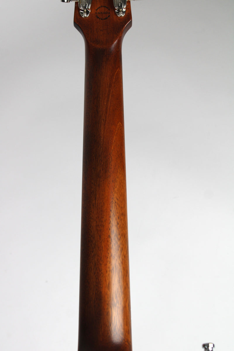 Godin Radium - Winchester Brown (demo)