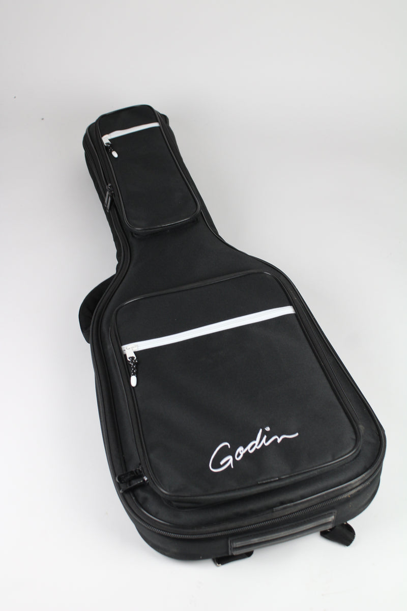 Godin Radium - Winchester Brown (demo)