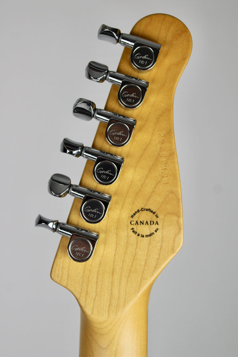 Godin Session R-HT Pro Édition Limitée Hangover - Carbon White (usagé)