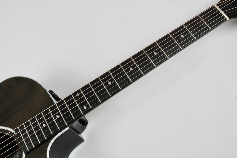 Taylor 214ce Special Edition - Transparent Grey w/AeroCase