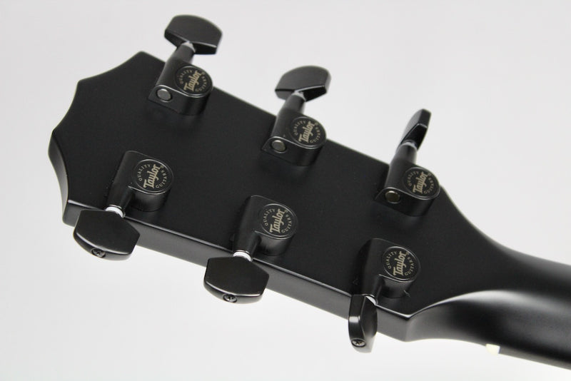 Taylor 214ce Special Edition - Transparent Grey w/AeroCase