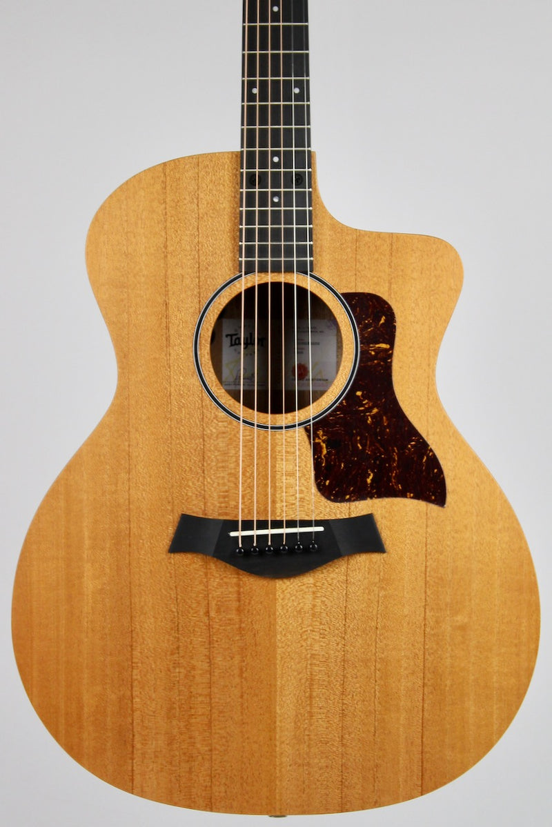 Taylor 24ce Grand Auditorium w/Gig Bag