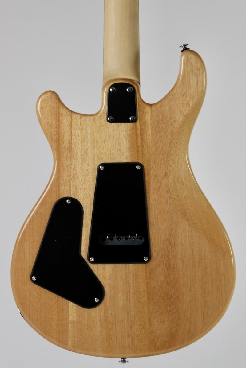 PRS SE CE24 - Turquoise w/Gig Bag (112888:TU)