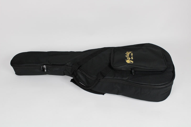 Martin D Jr-10E Spruce/Sapele Natural w/Gig Bag (DJR10E-02)