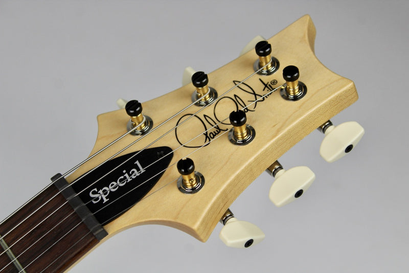 PRS Swamp Ash Special Rosewood Fingerboard - Black Doghair Smokeburst w/Gig Bag (115402:88)