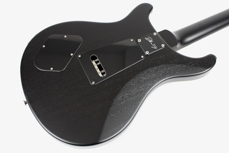 PRS Dustie Waring CE24 Floyd - Waring Burst w/Gig Bag (106185:ZA:V01)