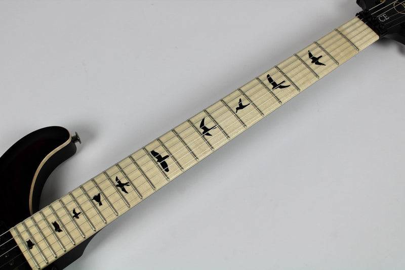 PRS Dustie Waring CE24 Floyd - Waring Burst w/Gig Bag (106185:ZA:V01)