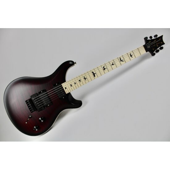 PRS Dustie Waring CE24 Floyd - Waring Burst w/Gig Bag (106185:ZA:V01)