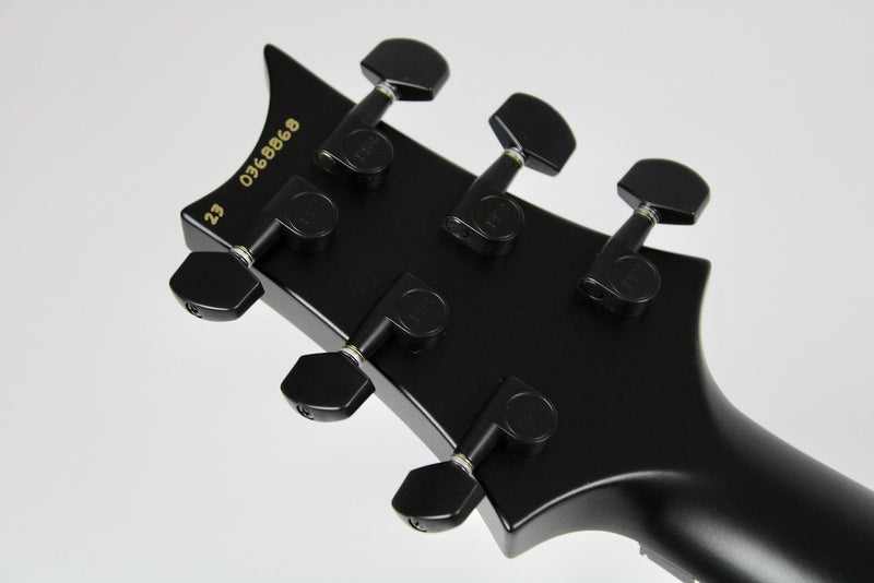 PRS Dustie Waring CE24 Floyd - Waring Burst w/Gig Bag (106185:ZA:V01)