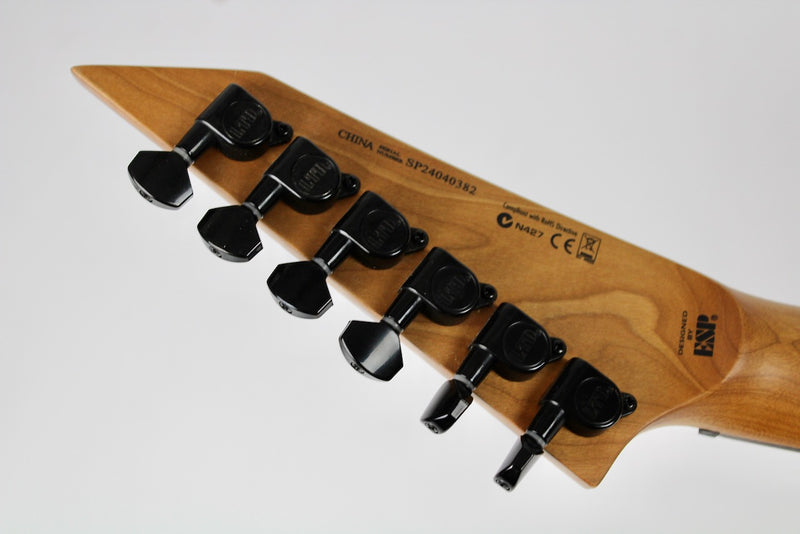 ESP LTD M-200DX Electric Guitar - Purple Burst (LM200DXNTPRB)