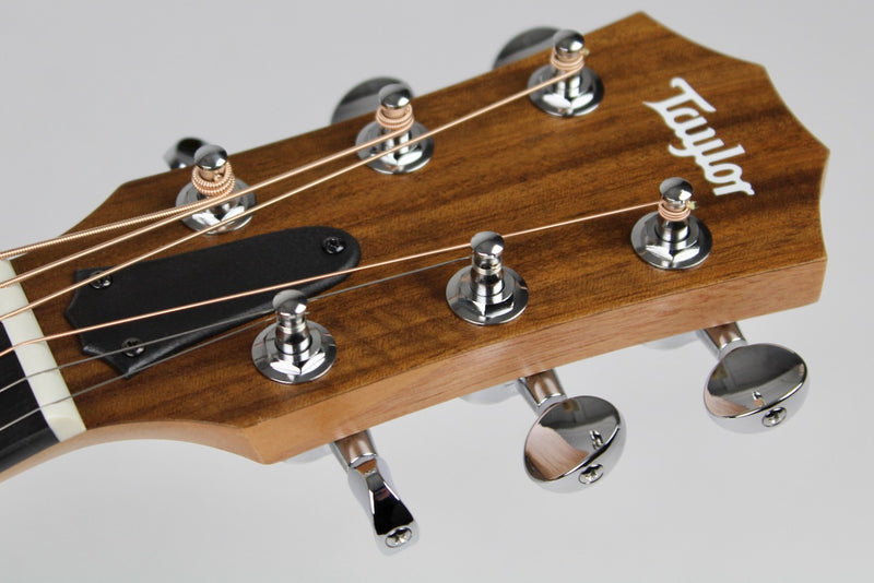 Taylor GS Mini-e Special Edition - Paisley Burst (Demo) w/Gig Bag