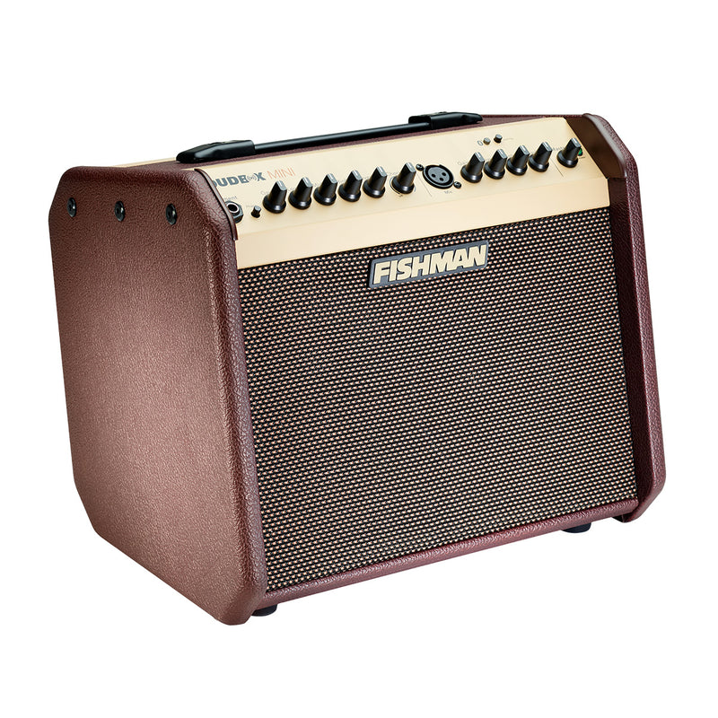 Fishman Loudbox Mini Amplificateur 60W avec Bluetooth