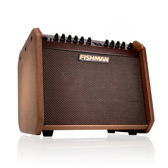 Fishman Loudbox Mini Charge Pro-LBC-500 – Gerald Musique