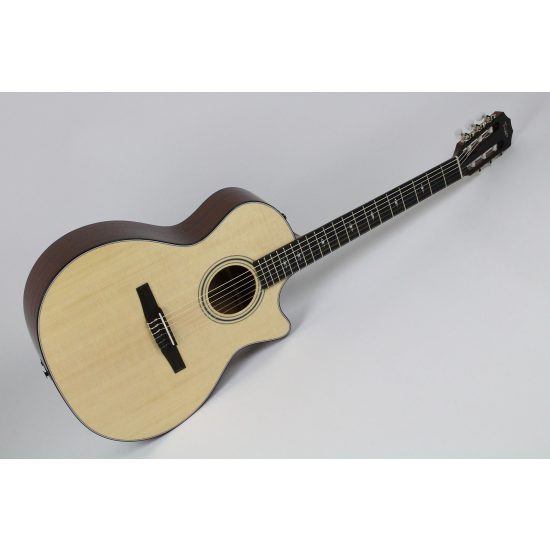 Taylor 314ce-N 2021 Natural w/OHSC