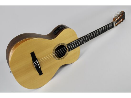 Taylor Academy 12e-N LTD w/Gig Bag